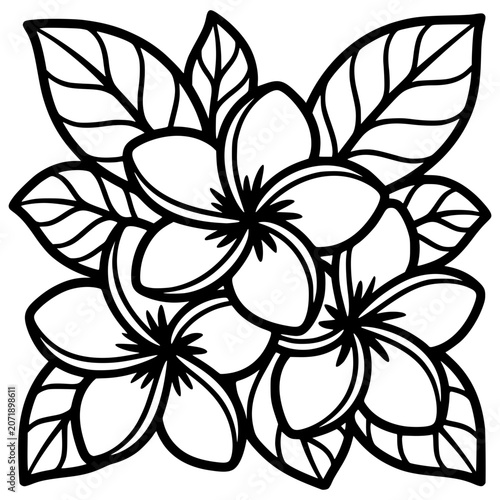 frangipani