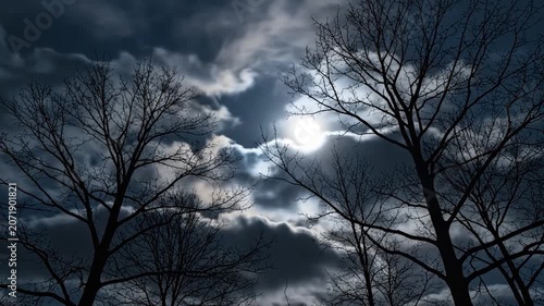 The full moon shines through dark clouds and bare winter trees
