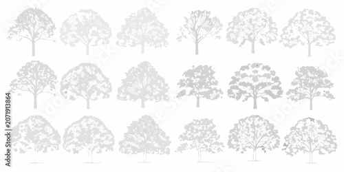 Foto Variety Of Tree Silhouettes In Gray Scale Architectural Style Vector Illustratio