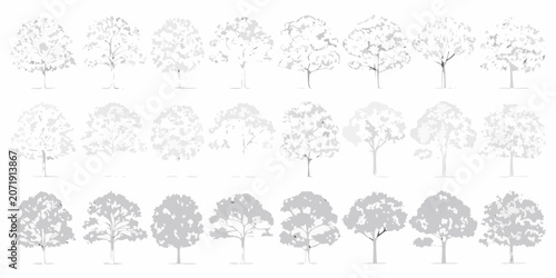 Cuadro en lienzo Variety of tree crown silhouettes in grey vector illustration architectural styl