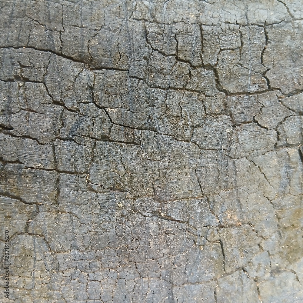 Fototapeta premium Detailed view of cracked dark grey charcoal wood surface texture