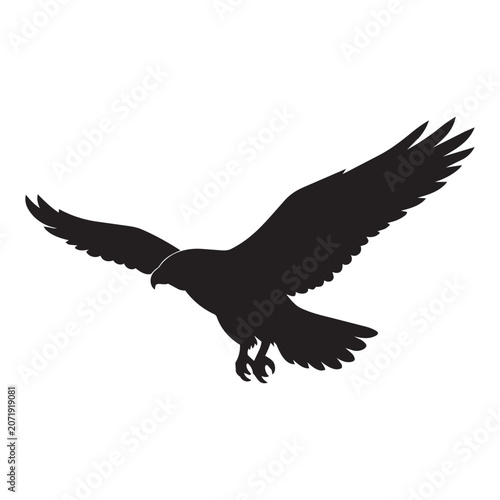 Falcon silhouette vector illustration