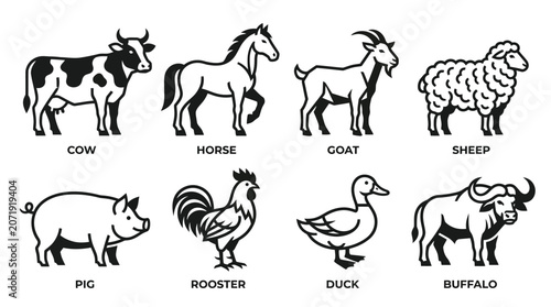 Farm Animals Line Drawings.