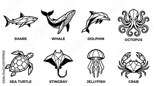 Photography Marine Animals Sea Creatures.