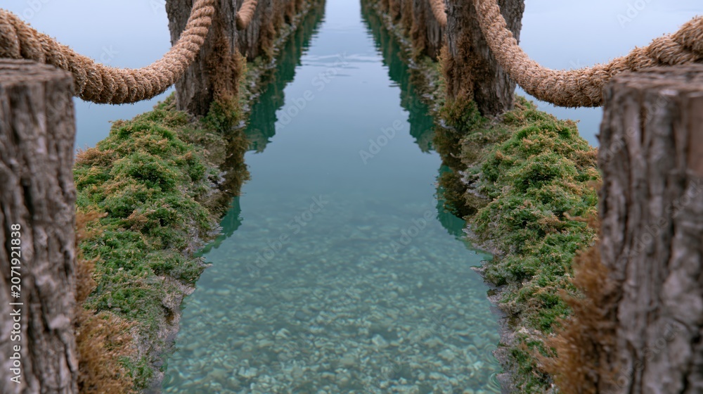 Fototapeta premium Tranquil Waters on Scenic Wooden Pathway