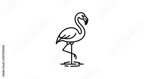flamingo standing in water