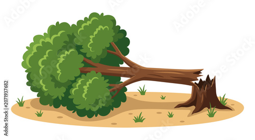 Broken fallen green tree on ground with sharp stump