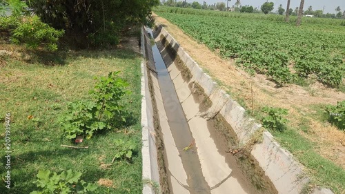 water flowing from the tree