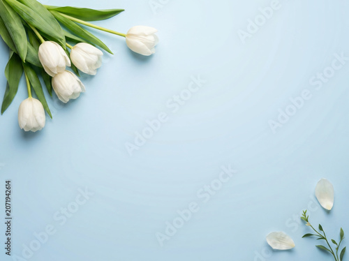 White tulips bouquet flat lay on pastel blue background with copy space for spring holidays or wedding design