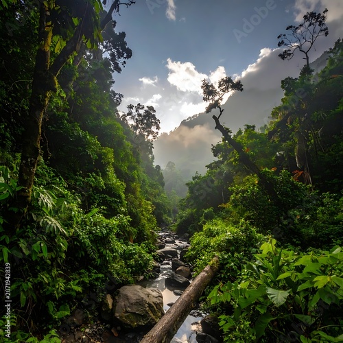 A serene forest landscape with a stream running through it