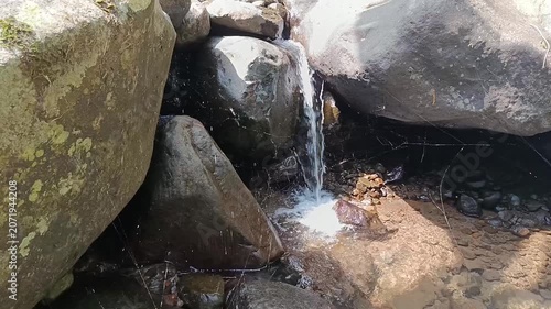 Crystal Clear Mountain River Flowing Through Natural Forest Landscape