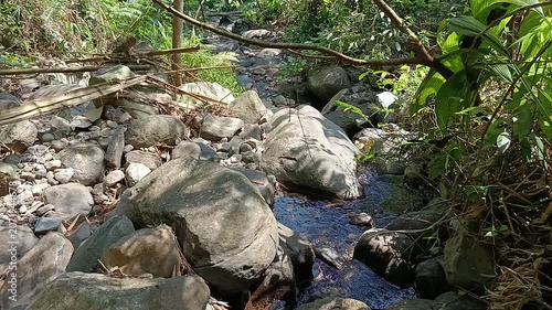 Crystal Clear Mountain River Flowing Through Natural Forest Landscape