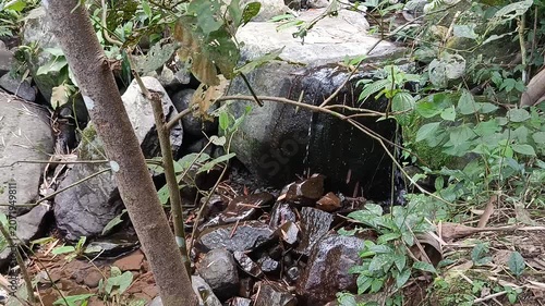 Crystal Clear Mountain River Flowing Through Natural Forest Landscape