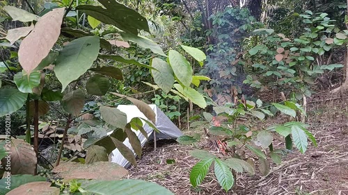 Camping Tent in Nature During a Sunny Day Outdoor Adventure