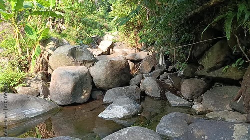 Crystal Clear Mountain River Flowing Through Natural Forest Landscape