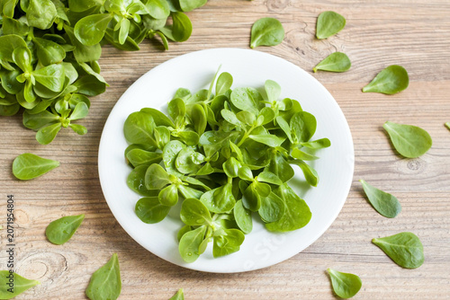 Natural, fresh purslane leaves are arranged on a white plate on a wooden surface.
