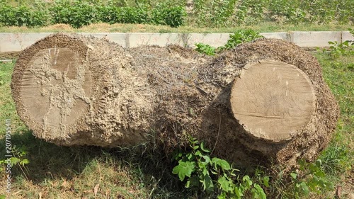 stack of wood