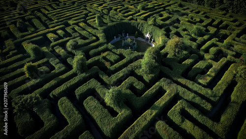 a complex labyrinth garden filled with winding pathways surrounded by dense greenery and natural forest environment.