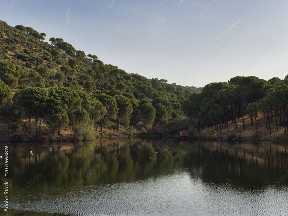 Fototapeta premium Scene of a lake surrounded by trees and hills during the afternoon with calm water reflecting the landscape