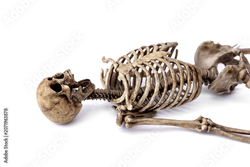Tableau sur toile Full upper body dark corpse human skeleton model in a relaxed supine position isolated on white background