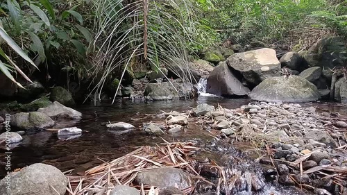 Crystal Clear Mountain River Flowing Through Natural Forest Landscape