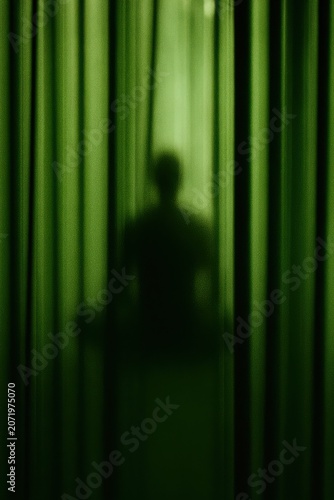 Solitary figure hidden behind blurred bamboo stems in green tones