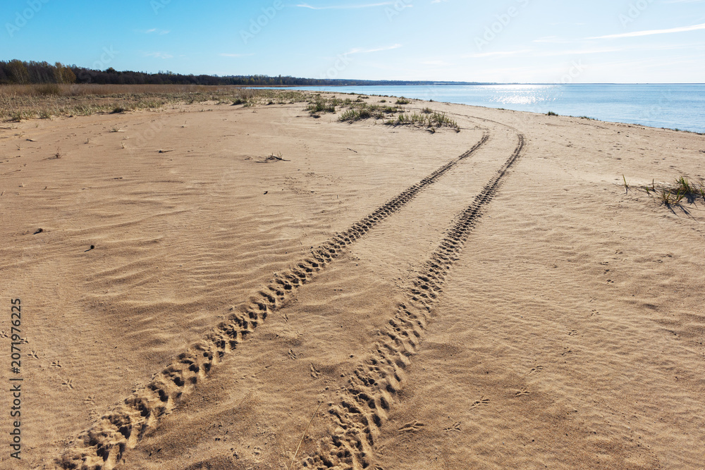 Fototapeta premium Turning all-terrain vehicle tracks goes across the sandy beach on a sunny day, summer landscape photo background