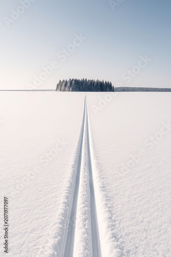 Minimalist winter perspective where purity meets the horizon of peace
