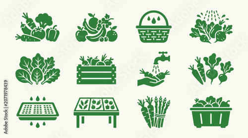 Flat minimal vector icon set of 12 fresh harvest products: fresh vegetables, fresh fruits, wet harvest basket, rinsed produce, fresh leafy pile, harvest crate, water washed crops, fresh roots