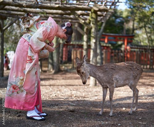 Woman and deer bowing to each other, Nara