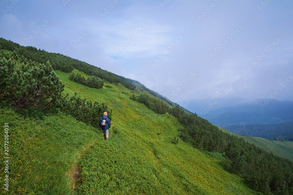 Obraz premium A solo hiker with a backpack walks along a grassy mountain trail, surrounded by lush green slopes, pine shrubs, and a misty, overcast sky in the high-altitude wilderness.