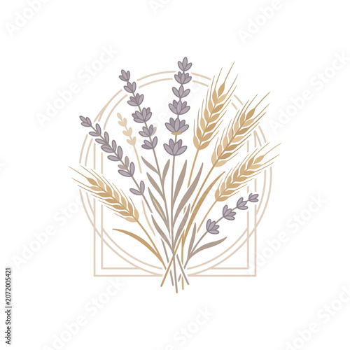 Lavender and wheat floral botanical illustration.