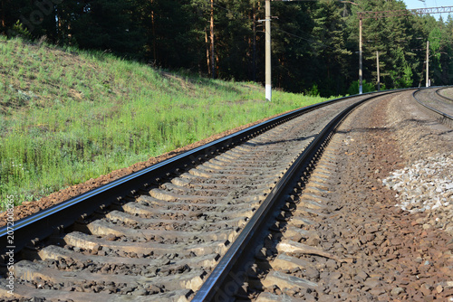 Railroad tracks curving through a green landscape with trees low angle view