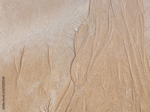 Photos traces laissées par la marée descendante sur la plage
