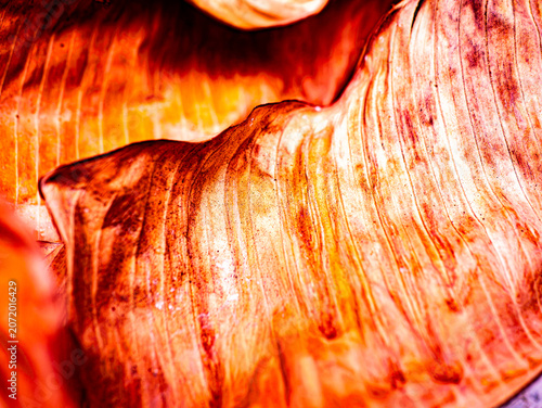 Tableau sur toile Macro Close-Up of Dried Banana Leaf Surface with Vivid Orange Yellow Texture
