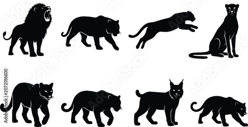 Photography Wild Big Cat Silhouette Collection Featuring Lion, Panther, Cheetah, Lynx, and L