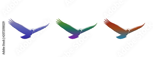 Set of three colorful eagle silhouettes flying