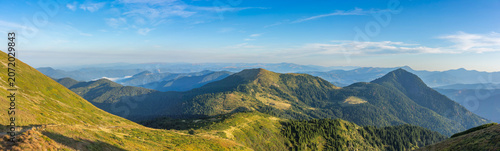 Lush green alpine meadows roll toward dense pine forests and majestic mountain peaks under a vast, clear blue sky, revealing a tranquil and breathtaking wilderness landscape