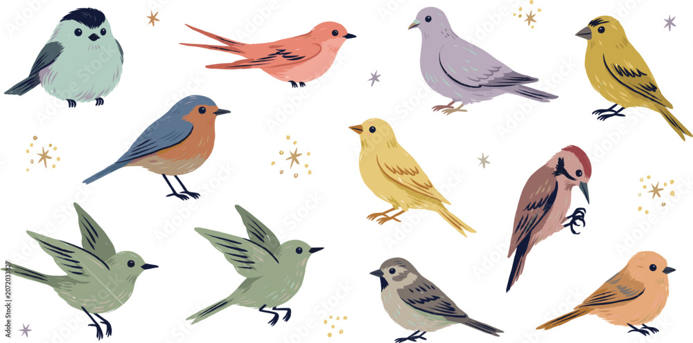 Obraz premium Cute hand drawn colorful birds collection set illustration on isolated white background vector