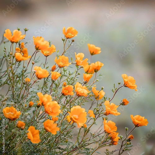 A cluster of vibrant orange wildflowers blooming in a field with a soft, blurred background