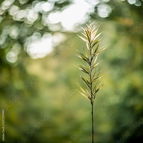 A single blade of grass stands tall and illuminated by soft, golden sunlight, with a blurred green background of foliage and bokeh lights