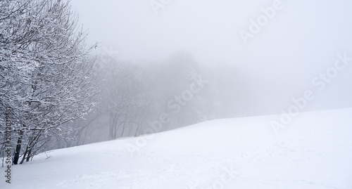 Cuadro en lienzo Minimalist winter landscape with snow covered hill and frosted forest trees in t