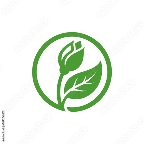 Green leaf and bud inside circular frame logo.