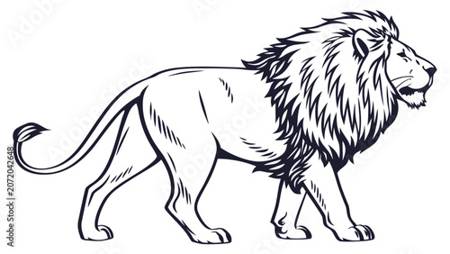 Majestic male lion walking profile graphic illustration with predator, wildlife