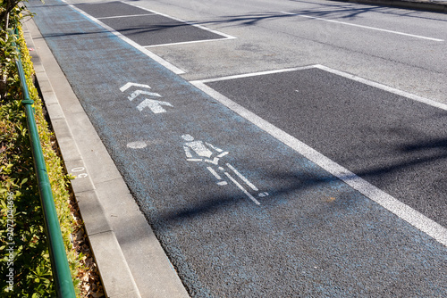 道路標示　自転車専用レーン