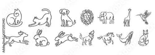 Photography Collection of various animal line drawings on white background