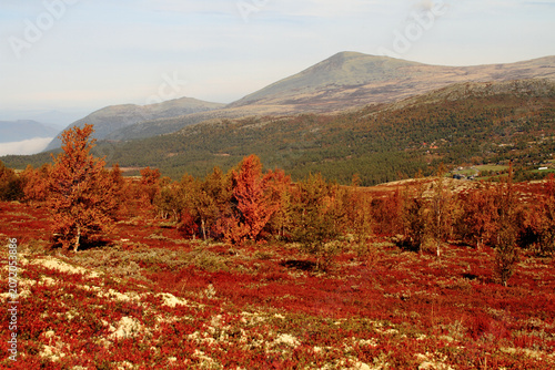 A serene Nordic landscape with soft tones, clean composition and a calm Scandinavian atmosphere. Ideal for travel, wellness, editorial, nature concepts and minimalist design.