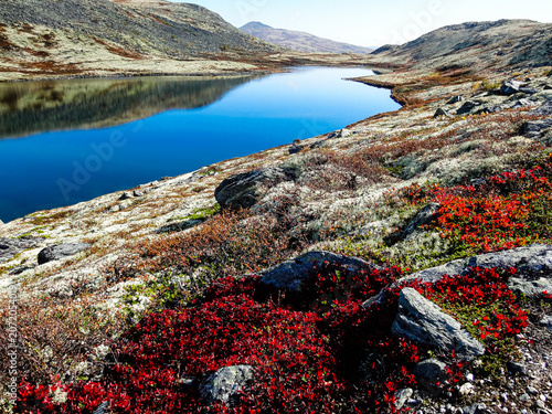 A serene Nordic landscape with soft tones, clean composition and a calm Scandinavian atmosphere. Ideal for travel, wellness, editorial, nature concepts and minimalist design.
