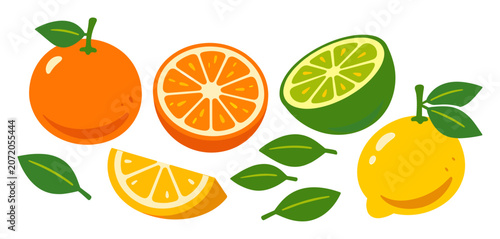 Fresh citrus colors display a whole orange, a sliced orange half, lime, lemon and green leaves