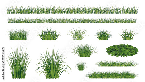 Schilderij op canvas Green grassy plants growing in a natural outdoor setting